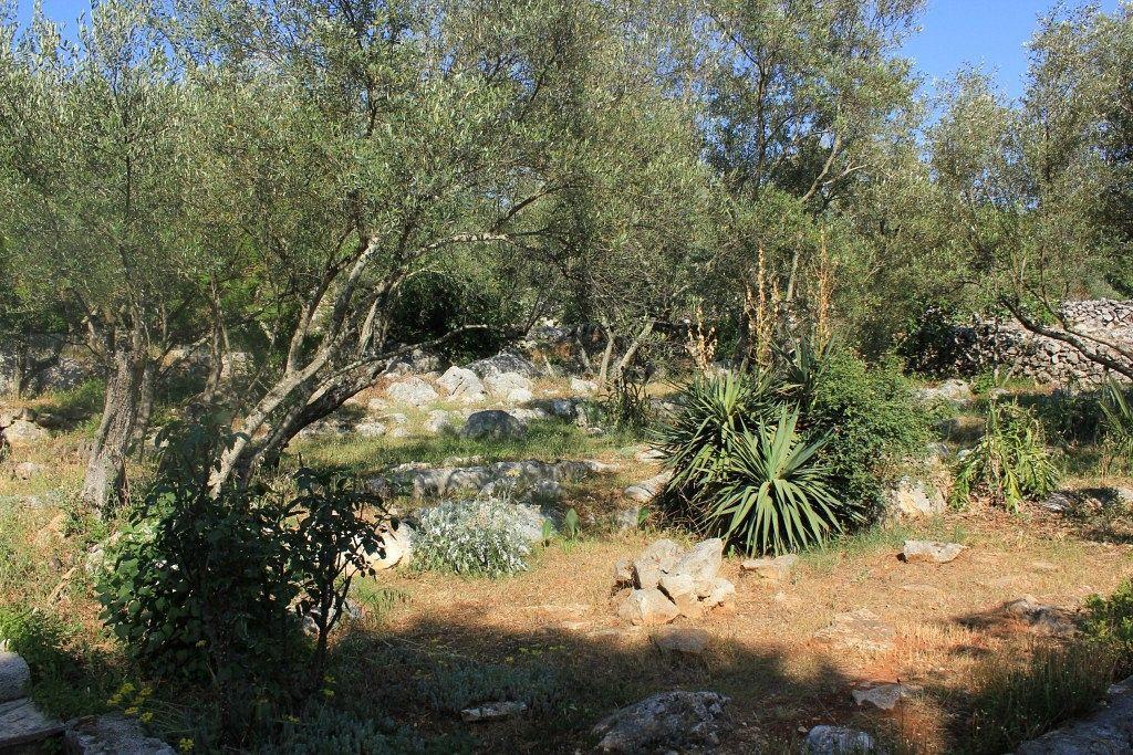 Secluded Fisherman'S Cottage Cove Magrovica - Telascica, Dugi Otok - 8142 ซาลี ภายนอก รูปภาพ